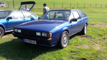 Bonsais Rocco